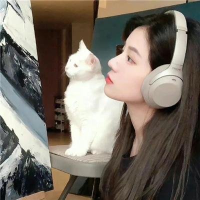 夜猫子