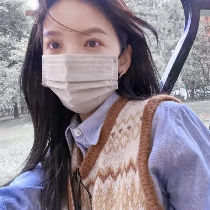 鲨与鲸