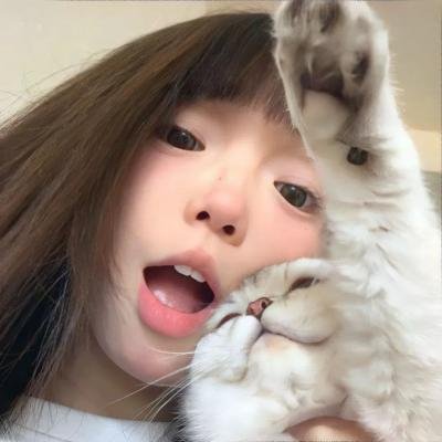 极地漫步